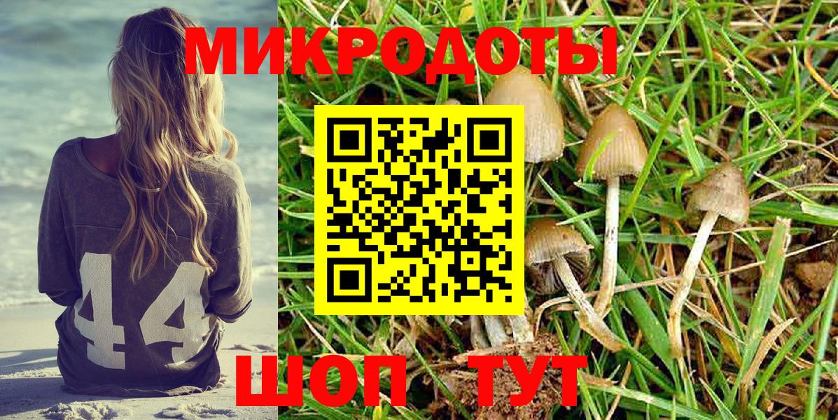Галлюциногенные грибы мухоморы  Псилоцибиновые грибы ЛСД  Новый Уренгой  Вход с VPN 